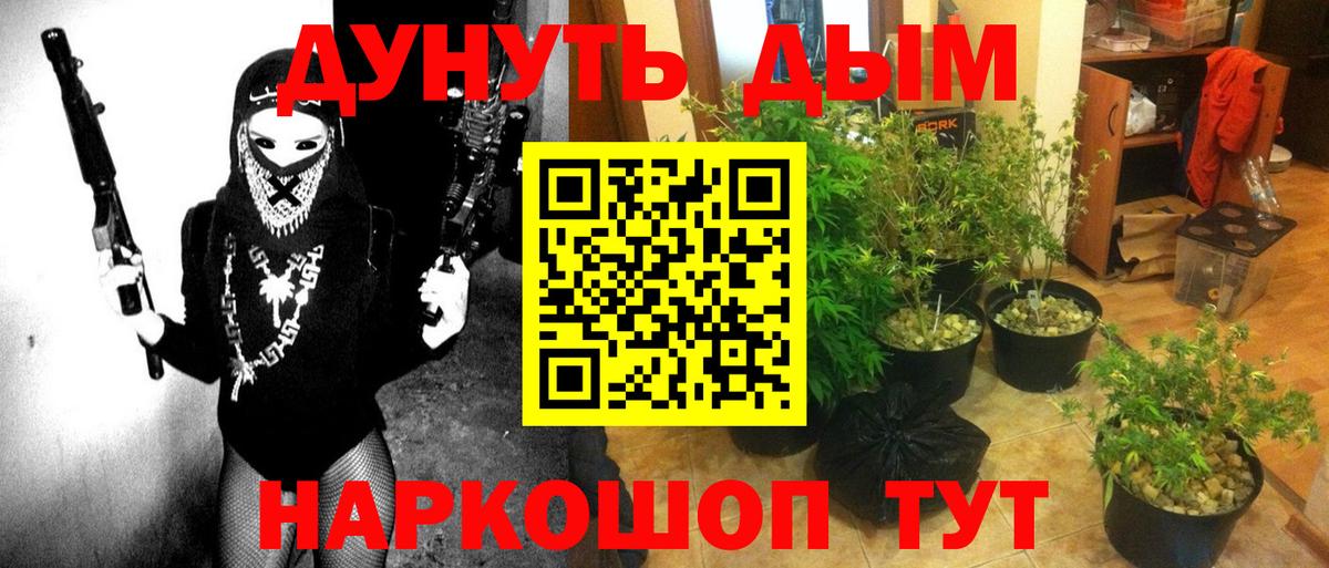 Шишки марихуана гибрид Канаш